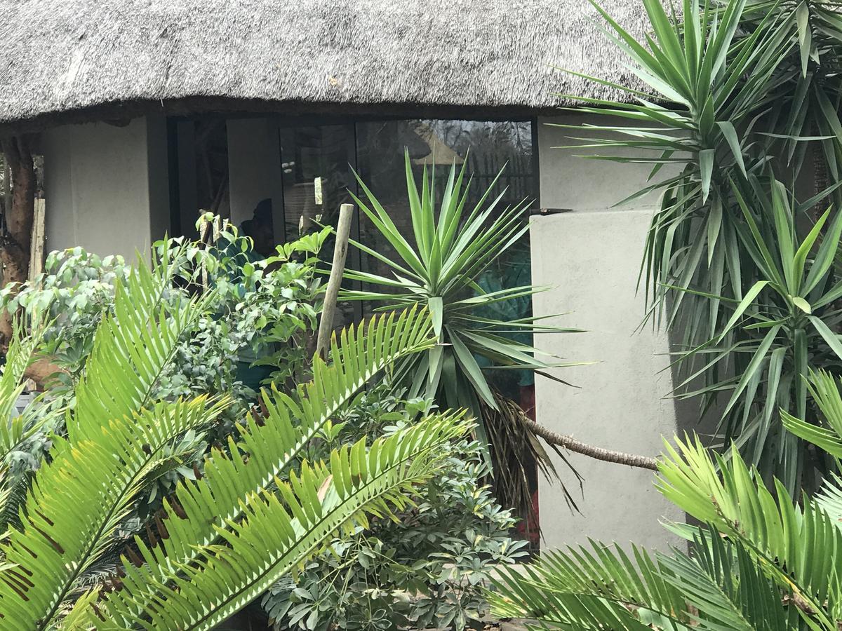 Weltevreden Country Guest Lodge Groblersbrug Exteriör bild